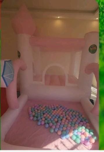 Pink Castle